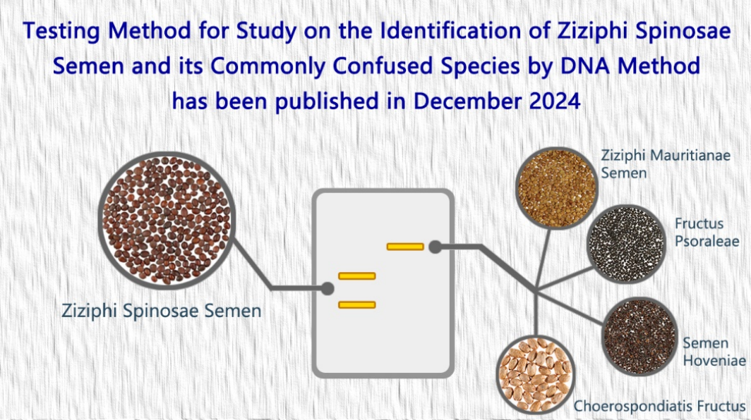 New analytical methods of the project “Study on the Identification of Ziziphi Spinosae Semen and its Commonly Confused Species by DNA Method” have been published in Dec 2024