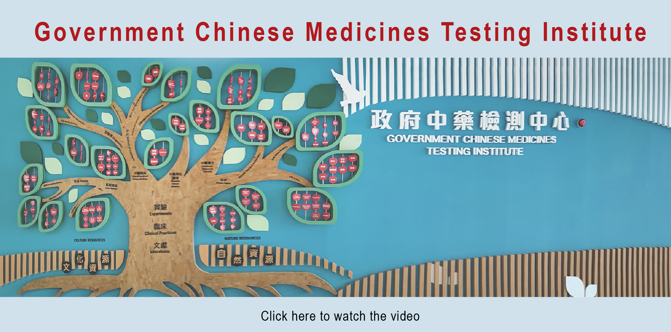 Government Chinese Medicines Insititute