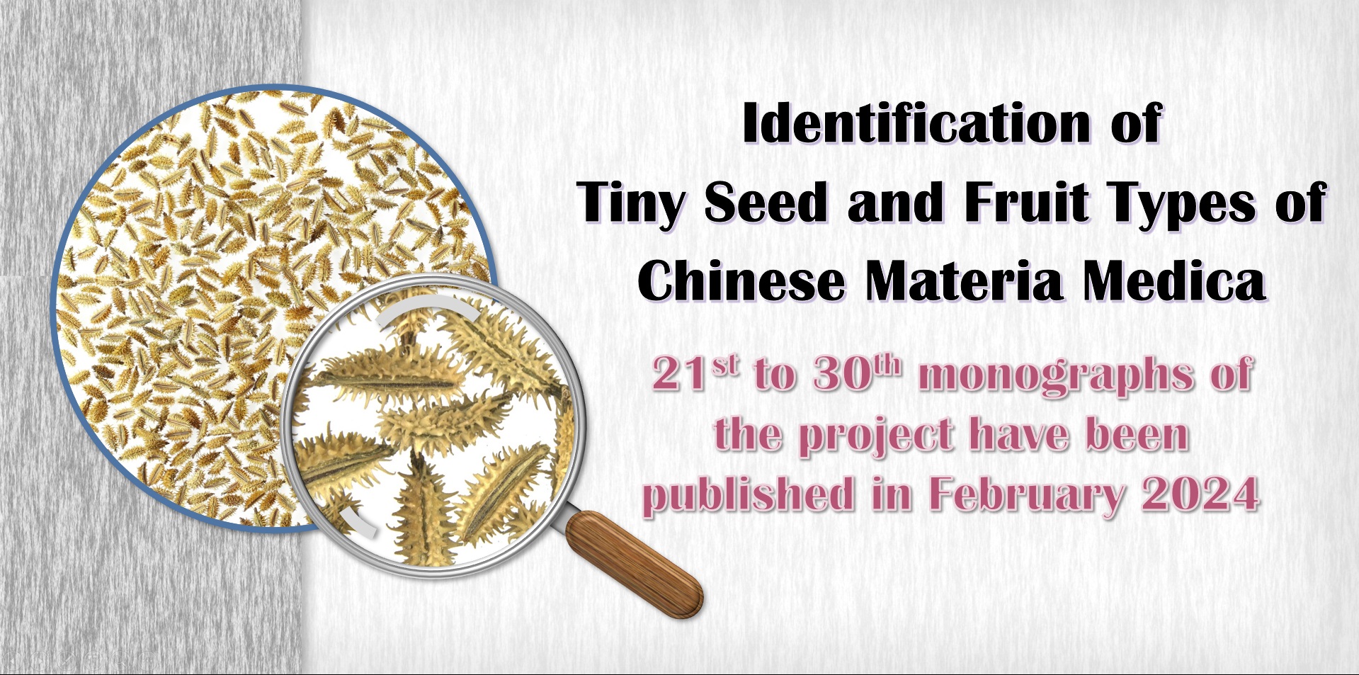 The 21st to 30th monographs of project “Identification of Tiny Seed and Fruit Types of Chinese Materia Medica” have been published in February 2024